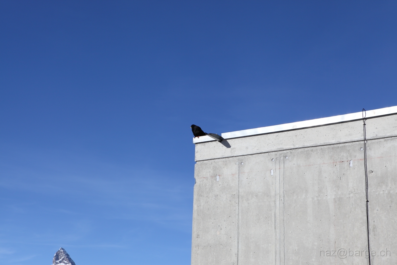 EOS 5D Mark II15_01_20120122.JPG